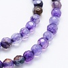 Natural Agate Beads Strands X-G-E469-12J-3