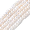 Natural Cultured Freshwater Pearl Beads Strands PEAR-I007-07D-01A-2