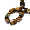 Faceted Rectangle Tiger Eye Beads Strands G-R304-10-2