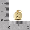 Rack Plating Brass Micro Pave CLear Cubic Zirconia Charms KK-E110-14G-G-3