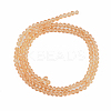 Glass Beads Strands EGLA-A034-T2mm-D23-2