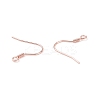 304 Stainless Steel Earring Hooks STAS-P221-04RG-3