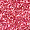 FGB Inside Colours Transparent Glass Seed Beads SEED-T009-01E-2