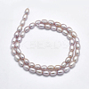 Natural Cultured Freshwater Pearl Beads Strands PEAR-F007-76B-01-2