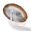 Printed Natural Agate Slice Stone Ornament DJEW-M011-03G-2