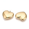 304 Stainless Steel Big Pendants STAS-T064-65G-2