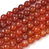 Dyed & Heated Natural Agate Beads Strands G-P539-D01-09-1