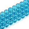 Transparent Glass Bead Strands GLAA-R095-12mm-23-1