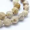 Natural Fossil Coral Beads Strands G-F523-23-8mm-3