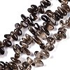 Natural Smoky Quartz Beads Strands G-B072-D01-02-1