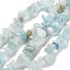 Natural Aquamarine Chip Beads Strands X-G-L154-19-2