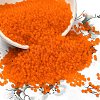 12/0 FGB Grade A Round Glass Seed Beads X-SEED-Q006-M06-1