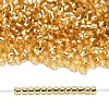 TOHO 8/0 Round Beads SEED-XTR08-0022A-4