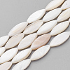 Natural Shell Beads Strands PBB220Y-1-2