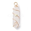Natural Quartz Crystal Double Terminal Pointed Pendants PALLOY-JF02672-05-1
