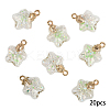 20Pcs Luminous Glass Pendants FIND-YW0009-11C-1