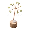 Natural Peridot Chips Tree of Life Decorations DJEW-P022-02A-04-1
