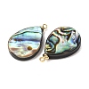 Natural Abalone Shell Pendants SH-CJC0AC7-01C-G-2