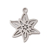 Non-Tarnish 304 Stainless Steel Pendants STAS-S139-06P-01-1