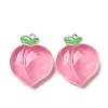 Fruit Theme Opaque Resin Imitation Food Pendants RE-CBA49A8-04E-1