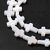 Natural Freshwater Shell Beads Strands X-BSHE-E026-18-4