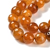 Natural Agate Beads Strands G-M437-B01-01L-4