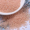 MIYUKI Round Rocailles Beads SEED-JP0008-RR0543-1