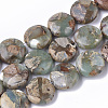 Natural Aqua Terra Jasper Beads Strands G-S366-014-1