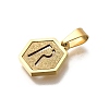 304 Stainless Steel Charms STAS-H227-01G-R-2