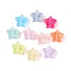 Transparent Resin Beads RESI-N048-02-1