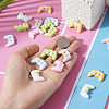 24Pcs 6 Colors Opaque Resin Pendants RESI-TA0003-34-5