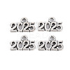 Tibetan Style Alloy Charms X-TIBE-S323-110AS-RS-1