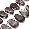 Natural Plum Blossom Tourmaline Beads Strands G-H078-A01-01-1