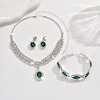 Oval & Horse Eye Brass Rhinestone Necklaces & Bracelets & Earring Sets FS-WG182CE-02-2