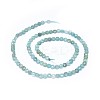 Natural Apatite Beads Strands G-I249-A09-2