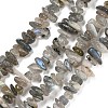 Natural Labradorite Beads Strands G-P332-23-1