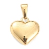 304 Stainless Steel Pendants X-STAS-P278-01E-G-2