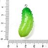 Resin Pendants X-RESI-S010-03A-3