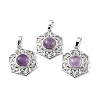 Natural Amethyst Pendants G-P498-02P-04-1