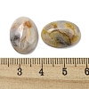 Natural Crazy Agate Cabochons X-G-C115-01A-33-3