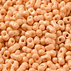 Baking Paint Glass Seed Beads SEED-K009-01A-13-3
