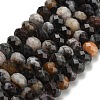 Natural Gemstone Beads Strands G-Z111-A34-3