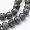 Natural Labradorite Beads Strands G-P326-01-6mm-3