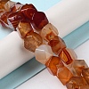 Natural Red Agate Star Cut Round Beads Strands G-M418-C04-01-2