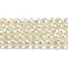 Electroplate Transparent Glass Beads Strands X1-GLAA-H021-01B-FR04-2