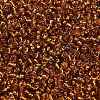 12/0 Glass Seed Beads SEED-A005-2mm-22C-3