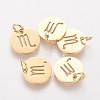 304 Stainless Steel Charms STAS-Q201-T445-8G-1