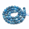 Natural Apatite Beads Strands G-S333-6mm-012-3