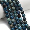 Natural Chrysocolla Beads Strands G-C289-B02-10mm-1