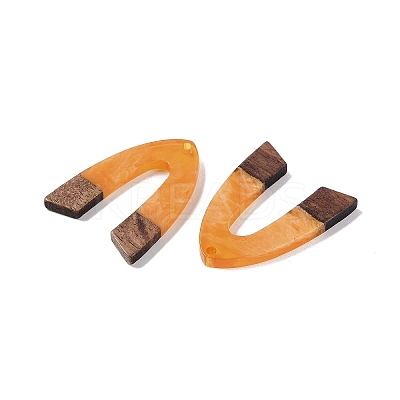 Resin & Wood Pendants WOOD-F015-16B-1